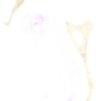 萌sabetsu - 因爲按了奇怪的快捷鍵，所以安裝了不知道的軟件