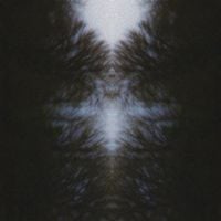Ivy Kashmir - Luz