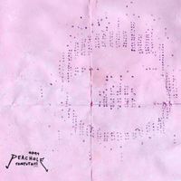 Peachole - Okay Peachole Computa!!!