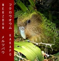 Merzbow - Kakapo