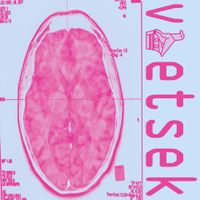 SKIIFUEGO - voetsek
