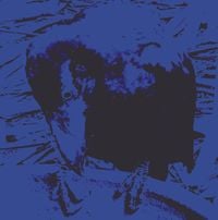 Merzbow - Indigo Dada