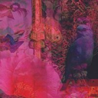 Merzbow - Crash for Hi-Fi Tapes