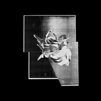 S U R V I V E - MF064