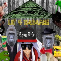 CRZFawkz - Lit 4 Harambe