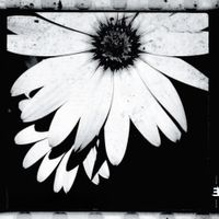 Dave Stapleton Quintet - When Life Was In Black And White