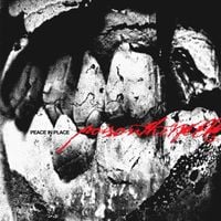 Poison the Well - Peace In Place