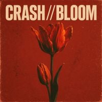 Brayden Canizo - CRASH//BLOOM