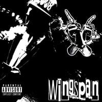 elibanss - Wingspan