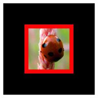alfa00 - dark dawn - dark dusk