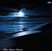 SpringzSIV! - The After Wave