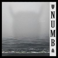 KSLV - Numb