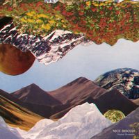 Nice Biscuit - Digital Mountain