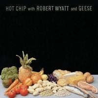 Hot Chip - Hot Chip with Robert Wyatt and Geese