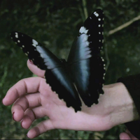 PUNKRILL - AMANH&Atilde; A GENTE V&Ecirc;