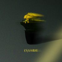 TVORCHI - Каланхое