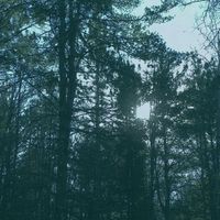 Ashbringer - Vacant