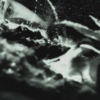 LE LEKOMOTYV - Puer Aeternus