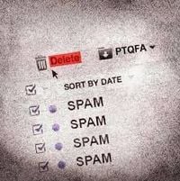 Alee - SPAM