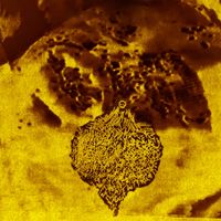 Drowned Corpse Blooming With Maggots - Demo 1
