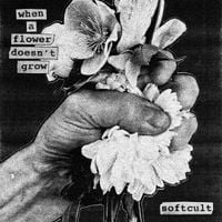 Softcult - Queen Of Nothing