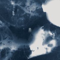 Wantamnam 我地希望 - 島 Dou