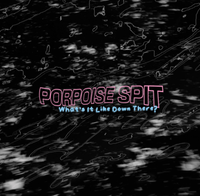 Porpoise Spit - What's It Like Down There?