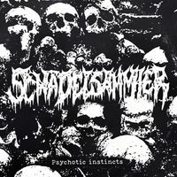 Sch&auml;delsammler - Psychotic Instincts