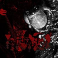 Phyllomedusa - Live At Blair Witch