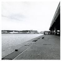 Toshiya Tsunoda - Extract From Field Recording Archive #1