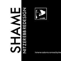 Nitzer Ebb - Shame
