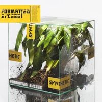 NxxxxxS - Formatted Excess