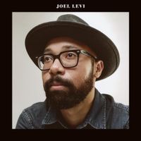 Joel Levi - Joel Levi
