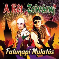 A K&eacute;t Zsiv&aacute;ny - Falunapi Mulat&oacute;s