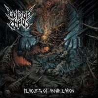Void of Chaos - Plagues of Annihilation