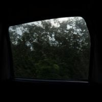 Bernal - Vida Y Milagros