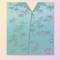 Windows 96 - Vibes