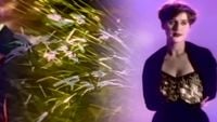 Cocteau Twins - Heaven Or Las Vegas