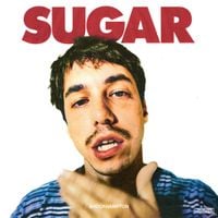 BROCKHAMPTON - SUGAR