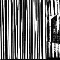 The Dead C - Harsh 70s Reality