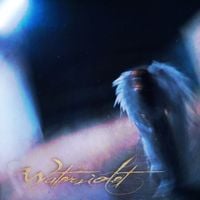 Waterviolet - Plum