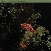 Amaia - Nadie Podr&iacute;a Hacerlo