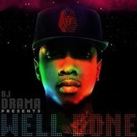 Tyga & DJ Drama - Well Done