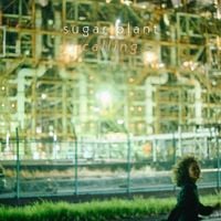 Sugar Plant - calling