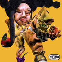 Dizzy Fae - NO GMO Mixtape