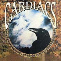 Cardiacs - Day Is Gone