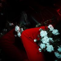 As Everything Unfolds - GASOLINE