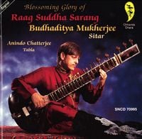 Budhaditya Mukherjee - Blossoming Glory of Raag Suddha Sarang