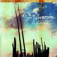 Gin Blossoms - Just South of Nowhere (Live in Chicago)