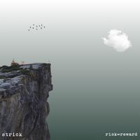 Strick - risk=reward
